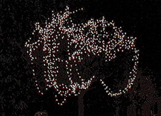 Trowell Christmas Lights