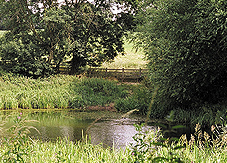 Trowell Nature Reserve
