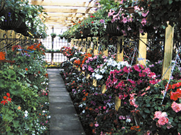 Trowell Garden Centre Trowell Garden Centre